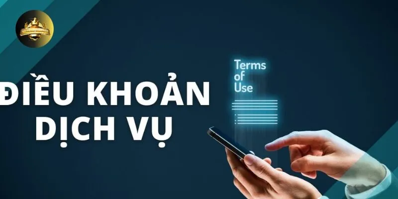 Điều Khoản Dịch Vụ