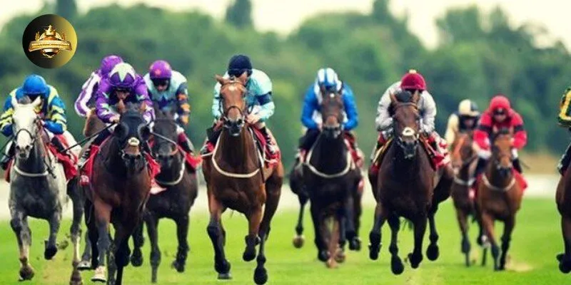 dua ngua 2 Đua Ngựa Nhatvip