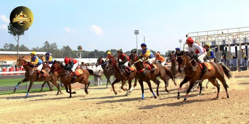 dua ngua Đua Ngựa Nhatvip