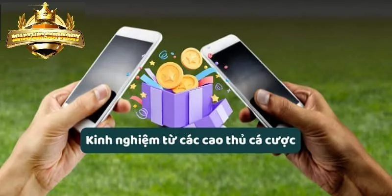 kinh nghiem tue cac cao thu ca cuoc dua xe nhatvip Kinh ngiệm từ cá cao thủ cá cược đua xe nhatvip
