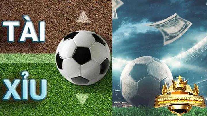 nhung kinh nghiem ca cuoc tai xiu bong da nhatvip Những king nghiệm cá cược tài xỉu bóng đá nhatvip