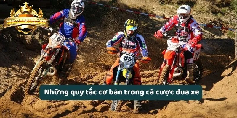 nhung quy tac co ban trong ca cuoc dua xe nhatvip Những quy tắc cơ bản trong cá cược đua xe nhatvip