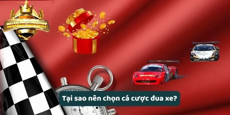 tai sao nen chon ca cuoc dua xe nhatvip Tại sao nên chọn cá cược đua xe nhatvip