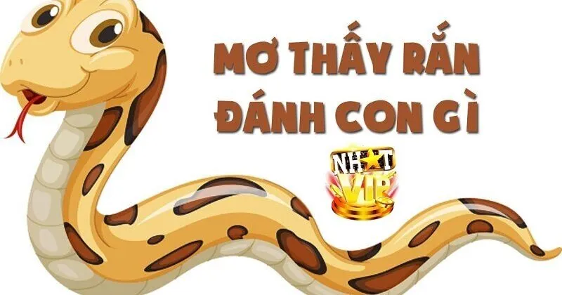 giai ma con so may man khi mo gap ran nhatvip Giải mã con số may mắn khi Mơ Gặp Rắn NhatVip