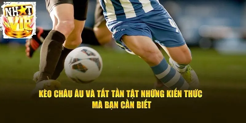 kinh nghiem ca cuoc keo chau au nhatvip hieu qua Kinh Nghiệm Cá Cược Kèo Châu Âu NhatVip Hiệu Quả