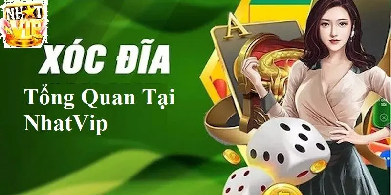 Tổng quan về Xóc Đĩa tại NhatVip